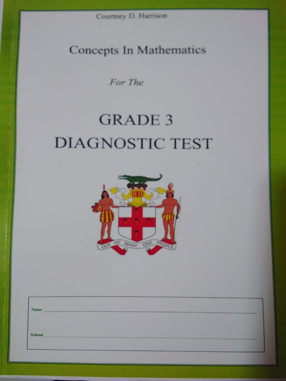 Concepts In Mathematics For The Grade 3 Diagnostic Test The Book 