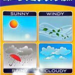 Chart: The Weather