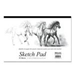 BAZIC 20Ct. 18" X 12" Premium Sketch Pad