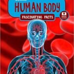 Collins Fascinating Facts - Human Body