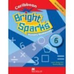 Bright Sparks Workbook level 6
