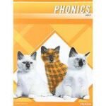 MCP Phonics Level D