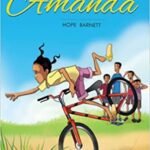 No Boy Like Amanda Perfect Paperback