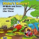 Bet You Didn't Know of Birds and Trees and Things Like These