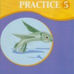 Composition Practice Book 5