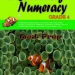 Discovering Numeracy Grade 4 Test Prep