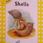 Jolly Phonics Shells (Nonfiction)