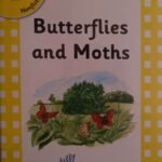 Jolly Phonics Butterflies and Moths (Nonfiction)