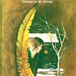 Hardy Boys 33:The Yellow Feather Mystery