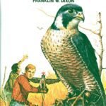 Hardy Boys 34:The Hooded Hawk Mystery