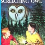 Hardy Boys 41: The Clue of the