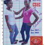 CXC CSEC Paper 2 Solutions