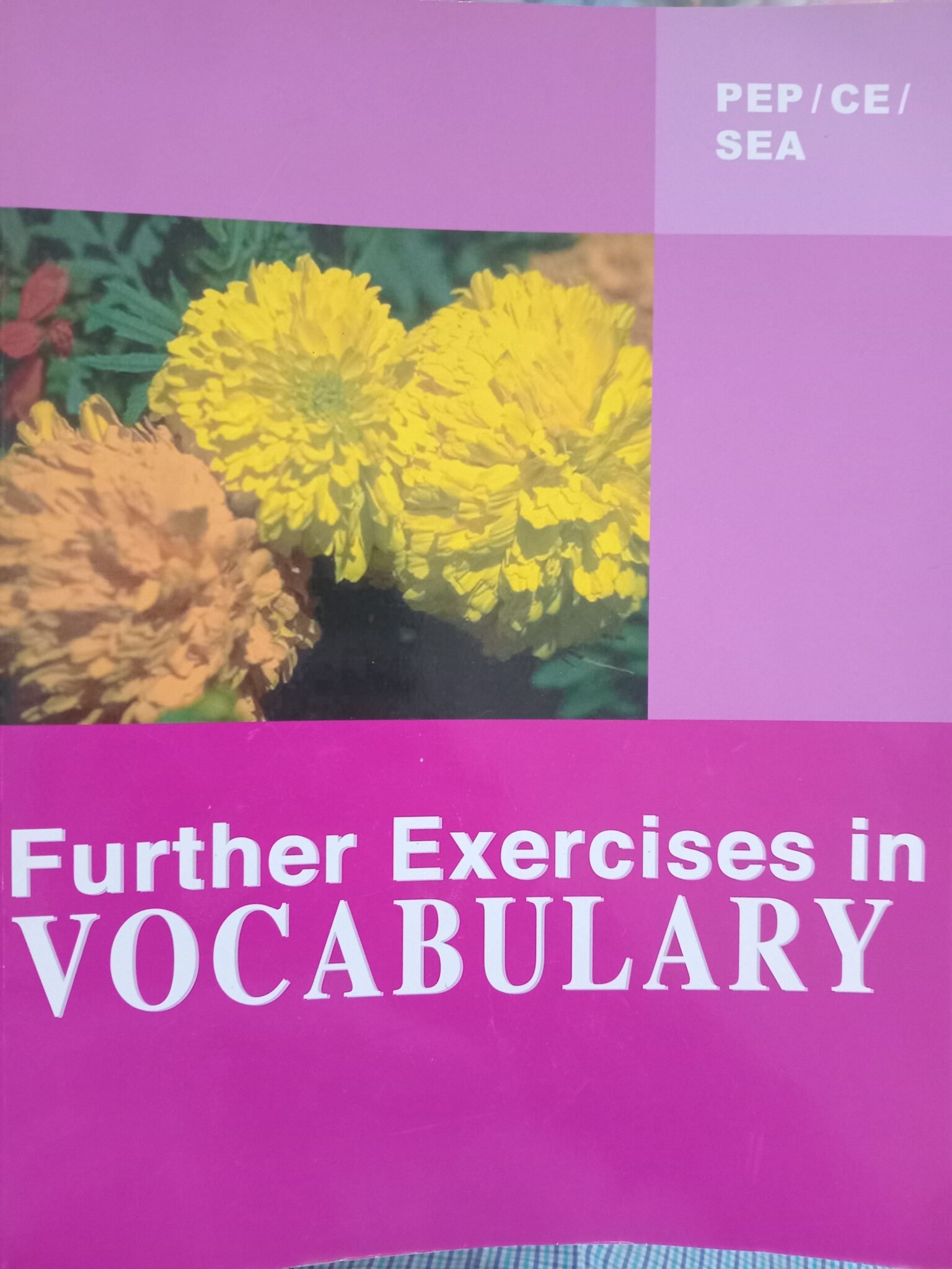 2023/01/JPEG_20251022_095439_2107477382247431722-scaled.jpg PEP Further Exercises in Vocabulary - Image 1