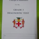 Concepts in Mathematics for the Grade 3 Diagnostic Test