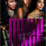 The Maze Paperback