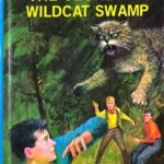 Hardy Boys 31: The Secret of Wildcat