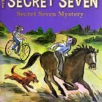 SS 9: Secret Seven Mystery