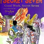 SS 6: Good Work Secret Seven