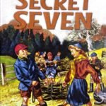 SS 11: Secret Seven Fireworks