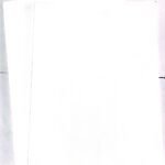Canvas Board (12 x 16)