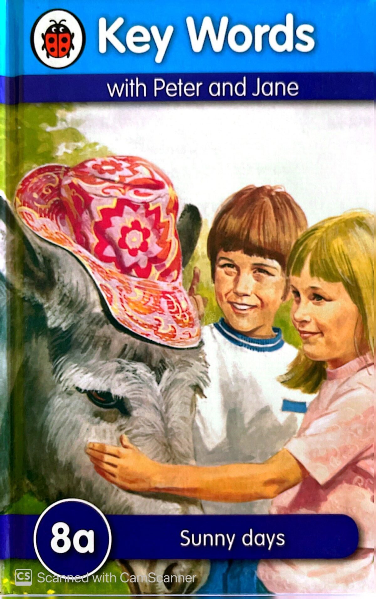 Key Words 8a - Sunny Days - Image 1