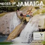 Pieces of Jamaica: The Real Rock Edition