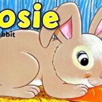 Shaped Board Book: Rosie