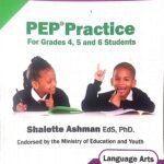 PEP Practice Grade 5 Performance task for Grade 4, 5 and 6 students- Language arts for Grade 5