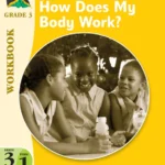 Macmillan Primary Integrated Studies: Grade 3 Term 1 Workbook: How Does My Body Work? Macmillan Primary Books