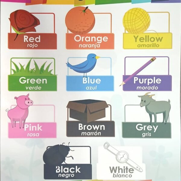 Chart: Colours/Los Colores