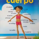 Chart: Las parted del cuerpo