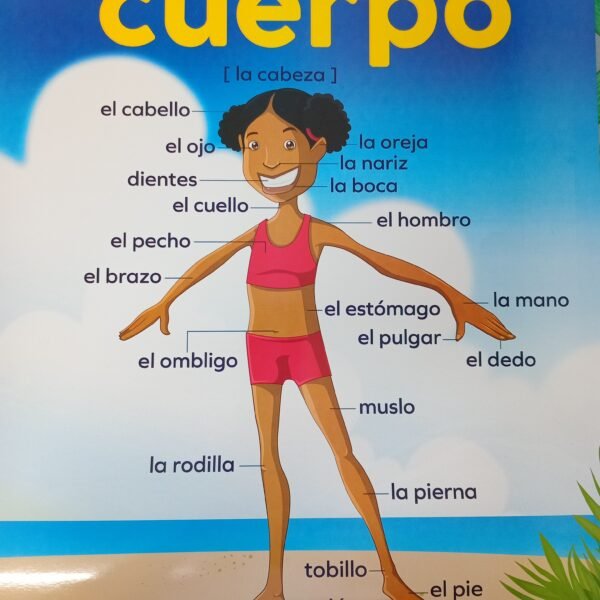 Chart: Las parted del cuerpo