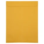 Manilla Envelope Brown 10 1/2