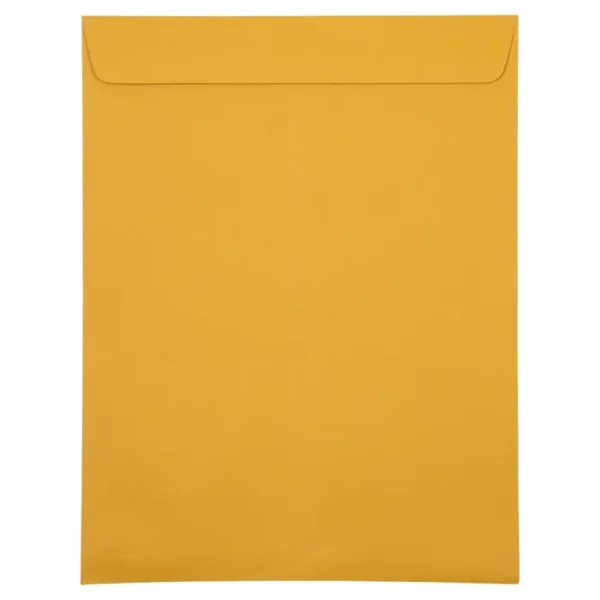 Manilla Envelope Brown 10 1/2