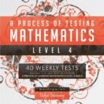 A Process of Testing Mathematics - Level 4