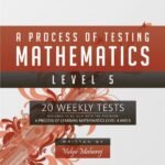 A Process of Testing Mathematics - Level 5