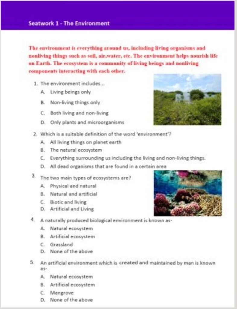 PEP workbook for Science with practice tests Grade 6 - The Book Jungle ...