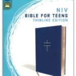 NIV bible for Teens thinline