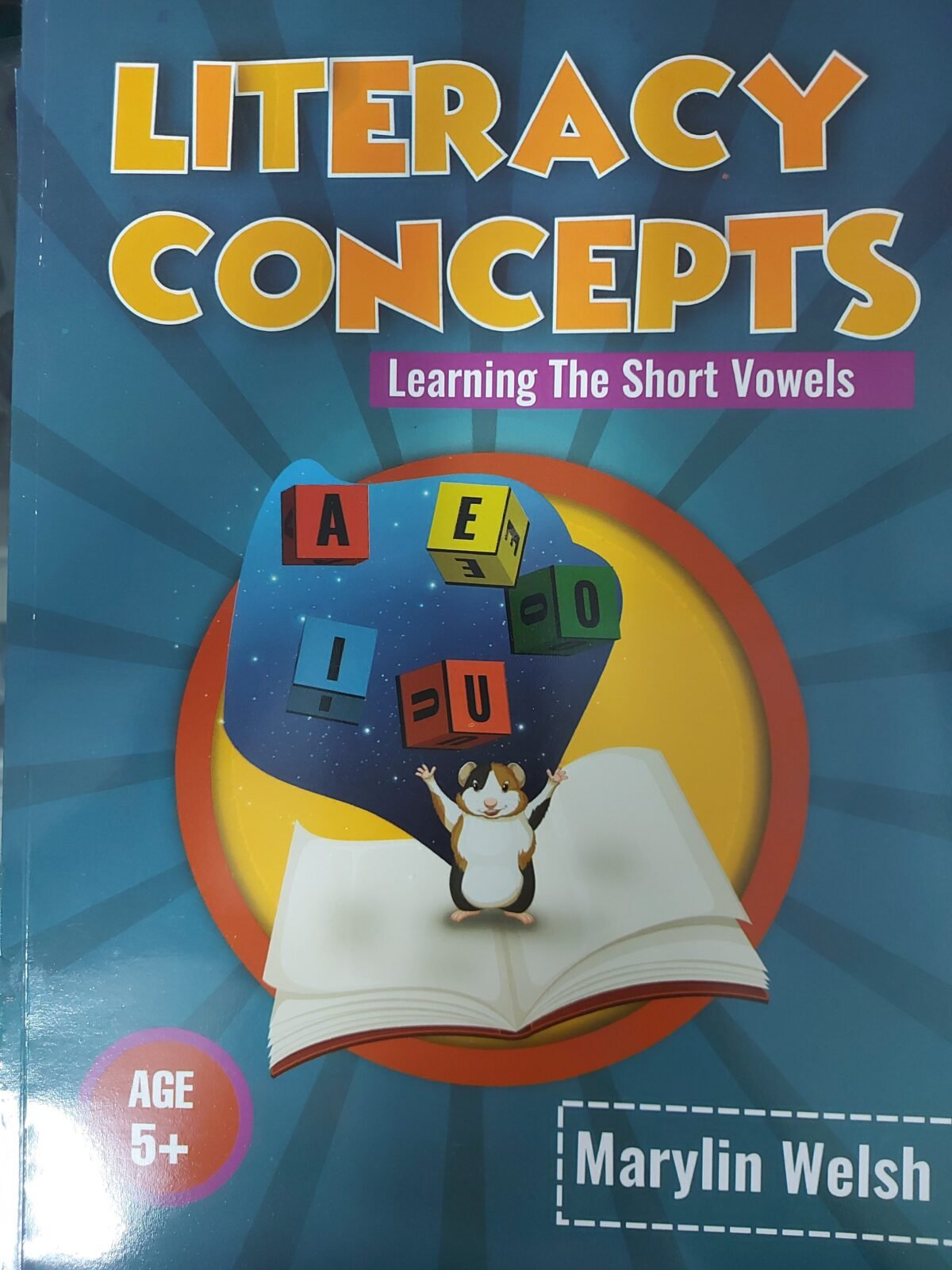 Literacy Concepts learning the short vowels - Image 1