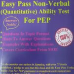 Easy Pass Non Verbal Quantitative Ability test for PEP