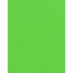 Cartridge Paper- Parrot Green