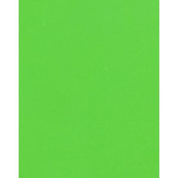 Cartridge Paper- Parrot Green