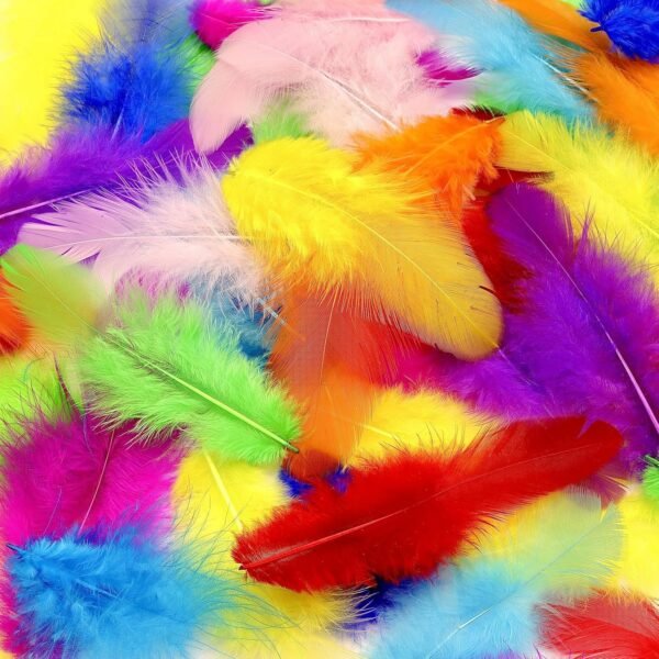 Small Feathers Assorted Colours (Single)