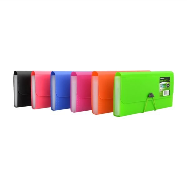 EXPANDING FILE FOLDER, CHECK SIZE, 13 DIVIDERS, NEON LINE, ASSORTED COLORS