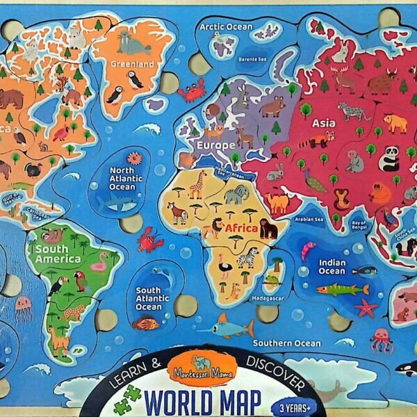 World map puzzle