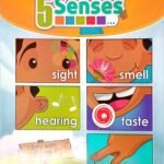 Chart: My 5 sense