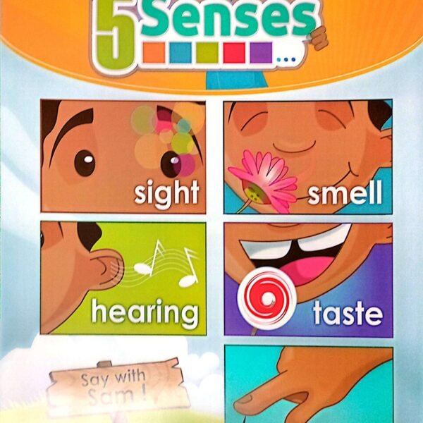 Chart: My 5 sense
