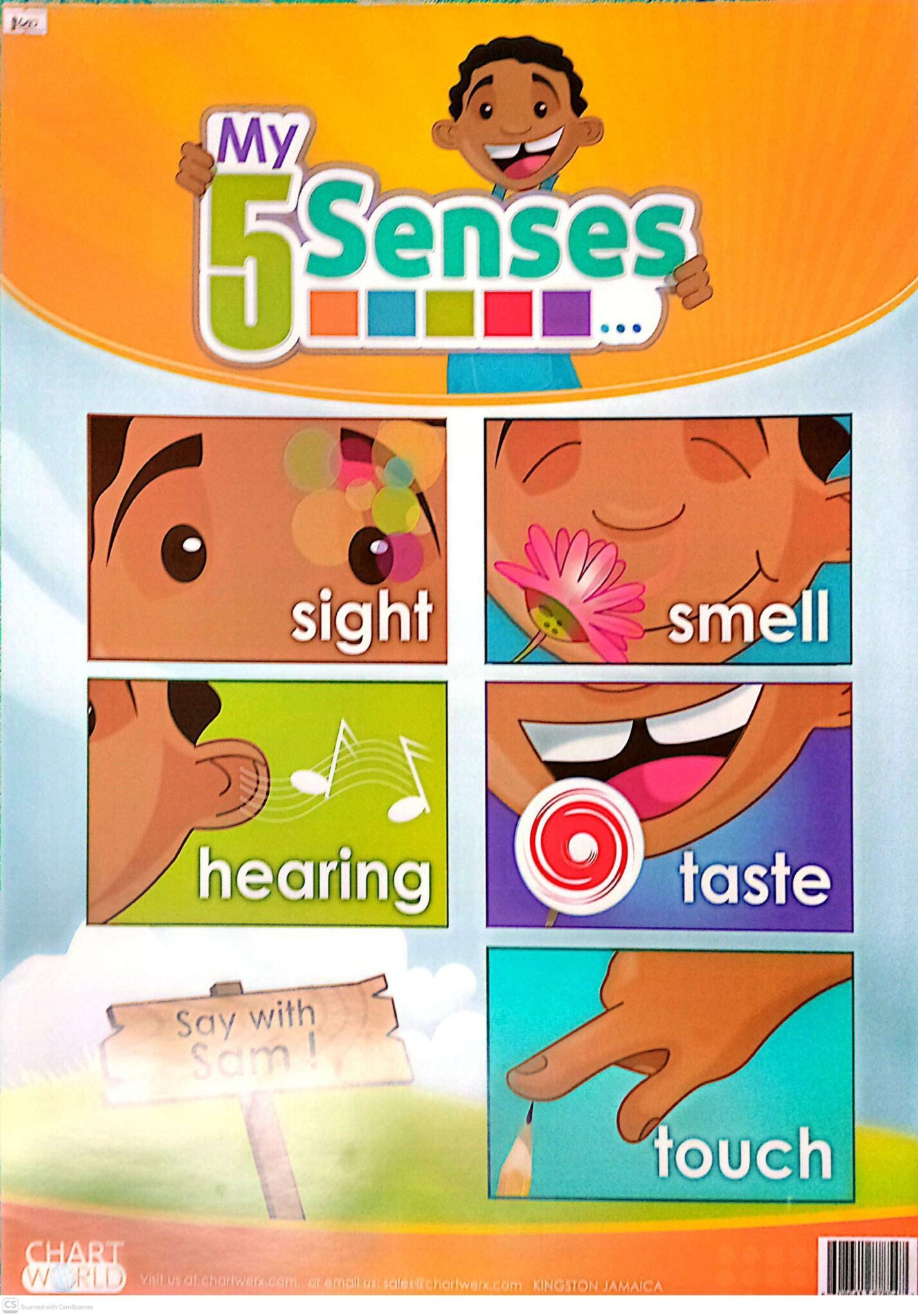 2026/09/1000044406-scaled.jpg Chart: My 5 sense - Image 1
