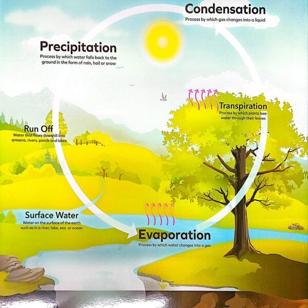 CHART:THE WATER CYCLE