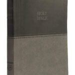 KJV Holy Bible: Value Large Print Thinline, Gray Leathersoft, Red Letter, Comfort Print: King James Version